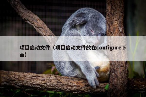 项目启动文件（项目启动文件放在configure下面）