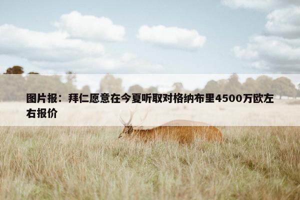 图片报：拜仁愿意在今夏听取对格纳布里4500万欧左右报价