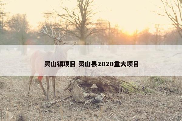 灵山镇项目 灵山县2020重大项目