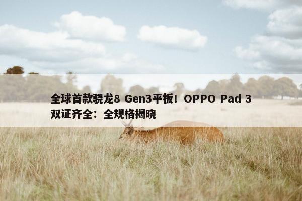 全球首款骁龙8 Gen3平板！OPPO Pad 3双证齐全：全规格揭晓