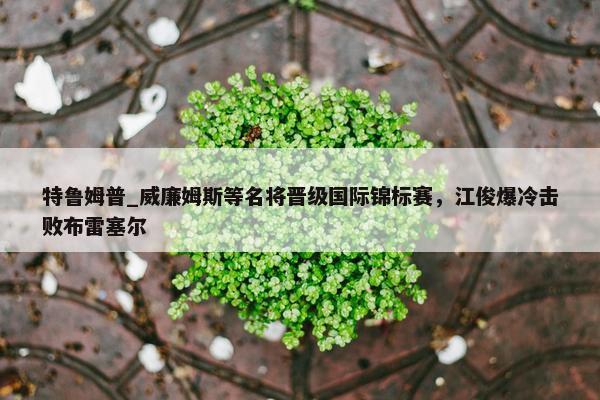 特鲁姆普_威廉姆斯等名将晋级国际锦标赛，江俊爆冷击败布雷塞尔