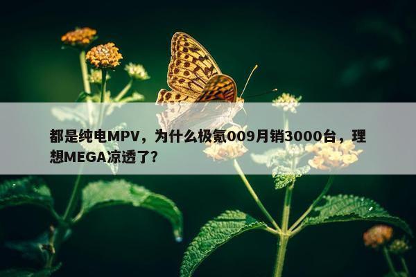 都是纯电MPV，为什么极氪009月销3000台，理想MEGA凉透了？