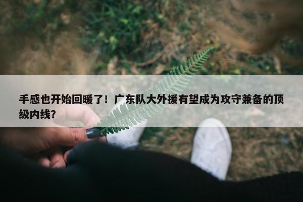 手感也开始回暖了！广东队大外援有望成为攻守兼备的顶级内线？