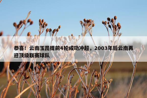 恭喜！云南玉昆提前4轮成功冲超，2003年后云南再迎顶级联赛球队